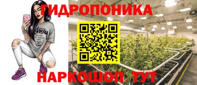 jwh Тара