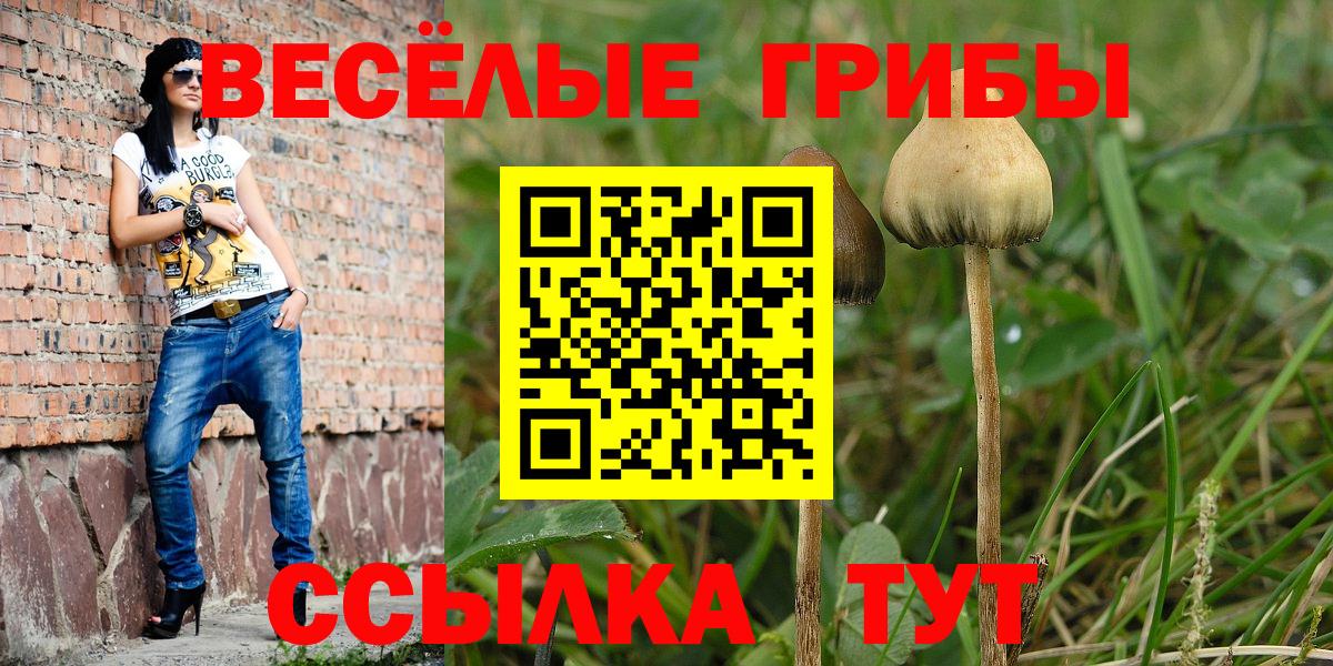 Псилоцибиновые грибы ЛСД Приморско-Ахтарск