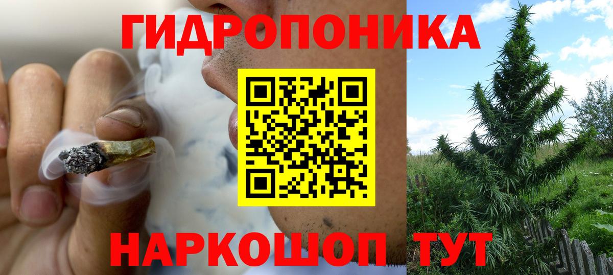 Каннабис гибрид Приморско-Ахтарск